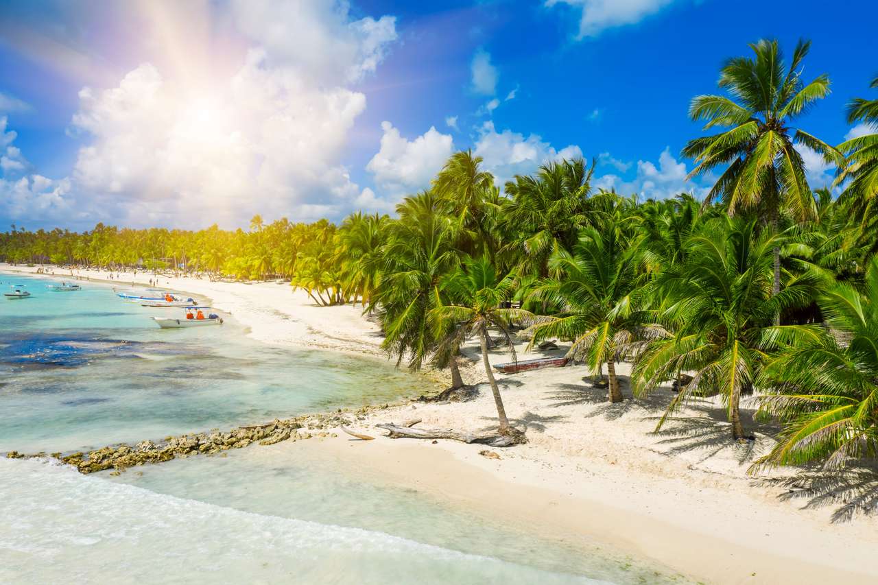Тропический пляж пазл онлайн из фото