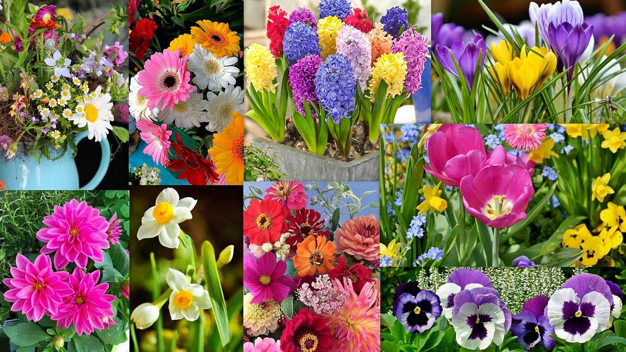 Floral Mix. puzzle online din fotografie