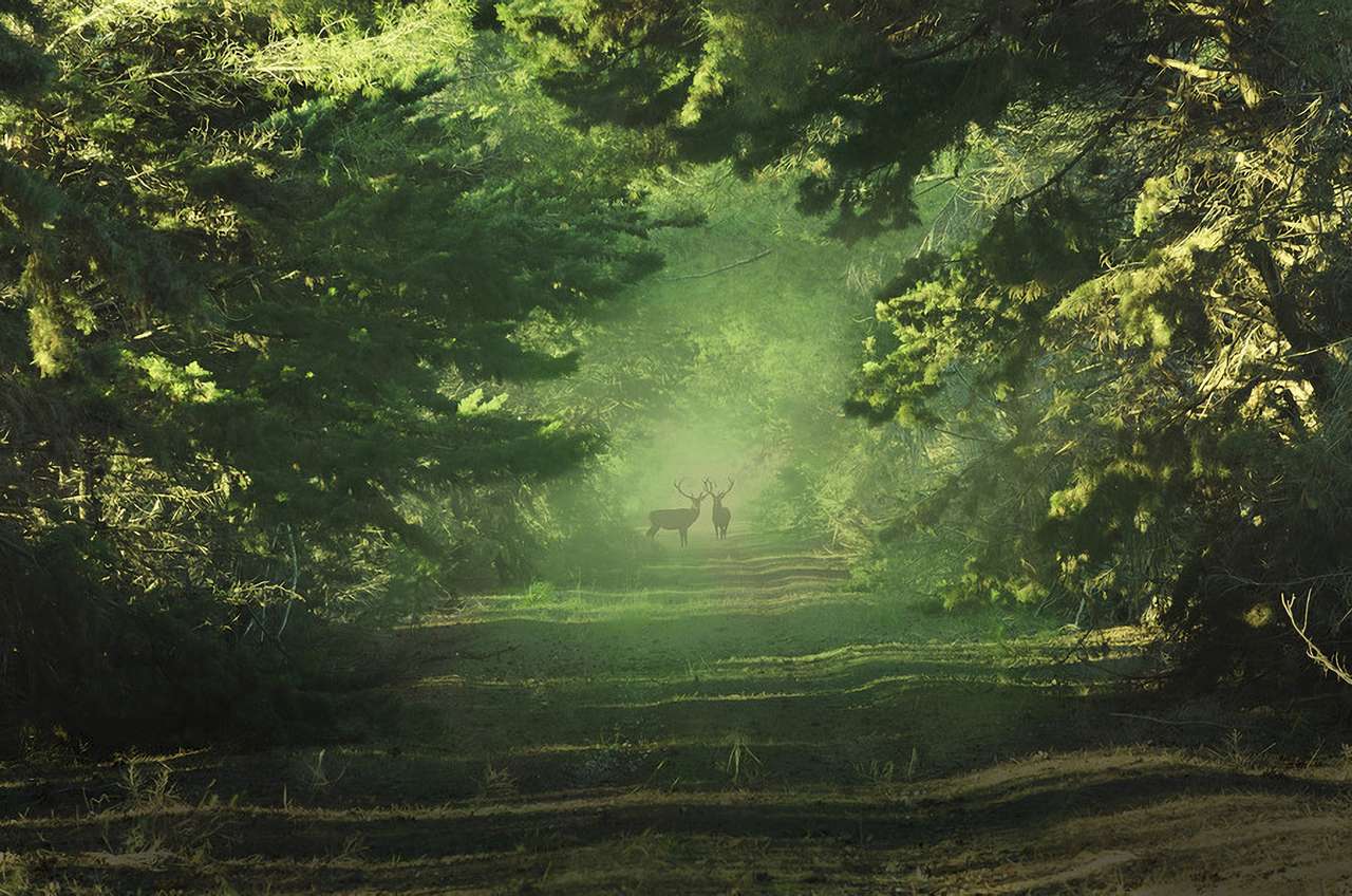 Deers in a forest online puzzle