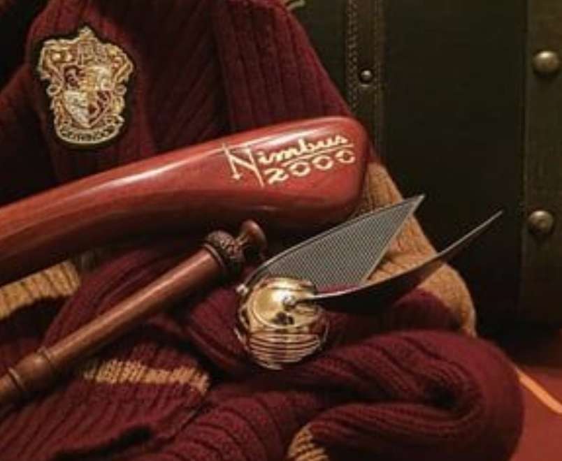 Gryffindor Competition. online puzzle