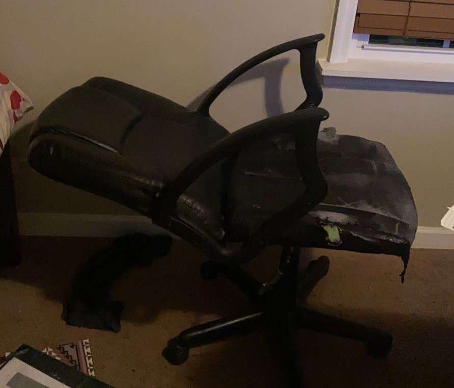 Majom szék puzzle online fotóról