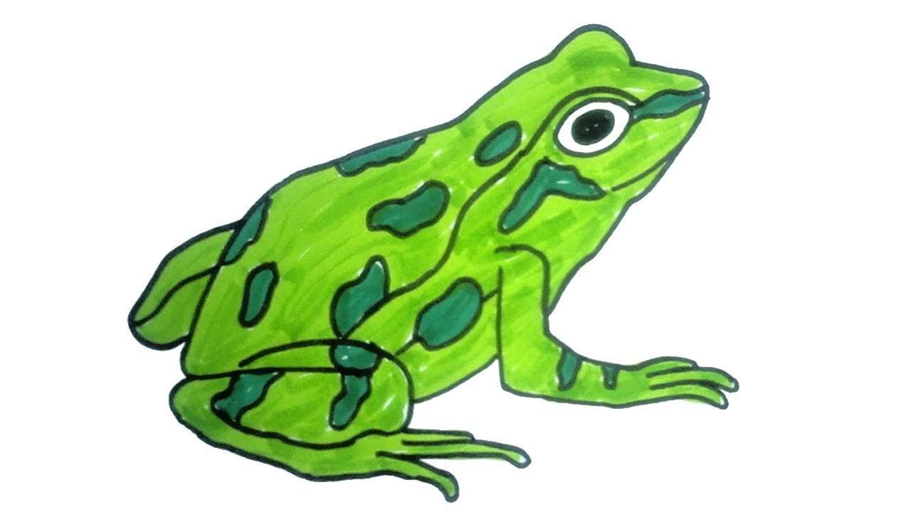 Frog clipart - ePuzzle photo puzzle