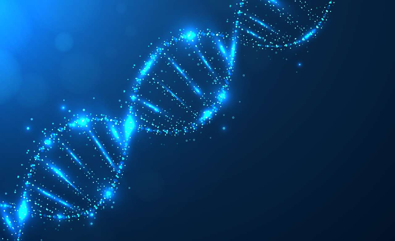 DNA-Rätsel Online-Puzzle vom Foto