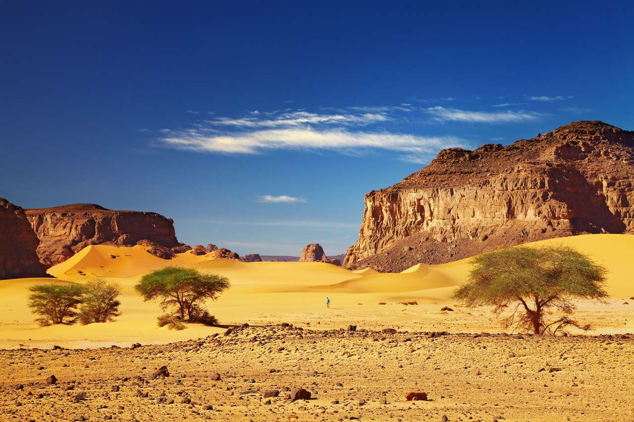 Deserto de Sahara, Tadrart, Argélia puzzle online a partir de fotografia