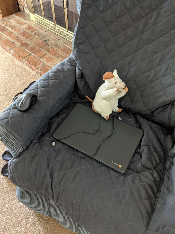 Alfredo råttan pussel online från foto