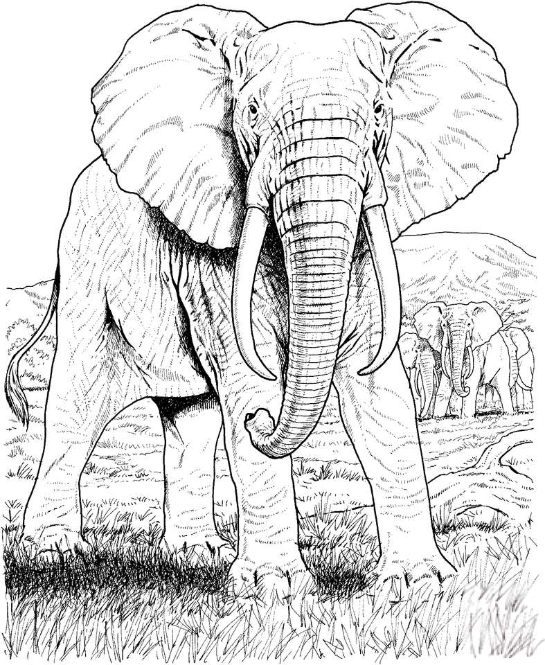 En elefant Pussel online