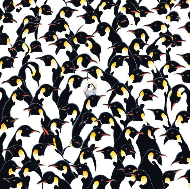 Пингвини онлайн пъзел