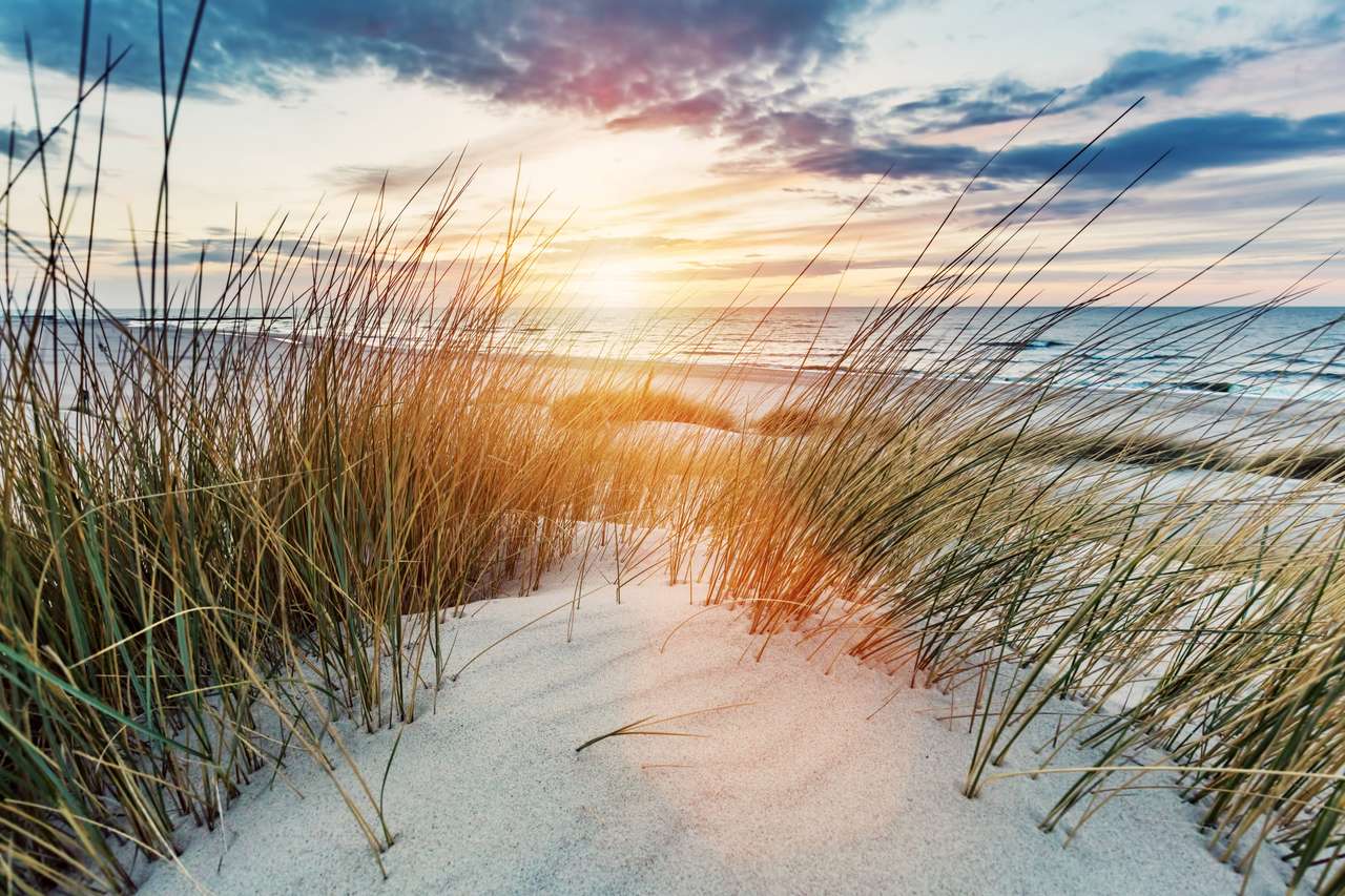 Gräsbevuxna sanddyner och havet vid solnedgången Pussel online