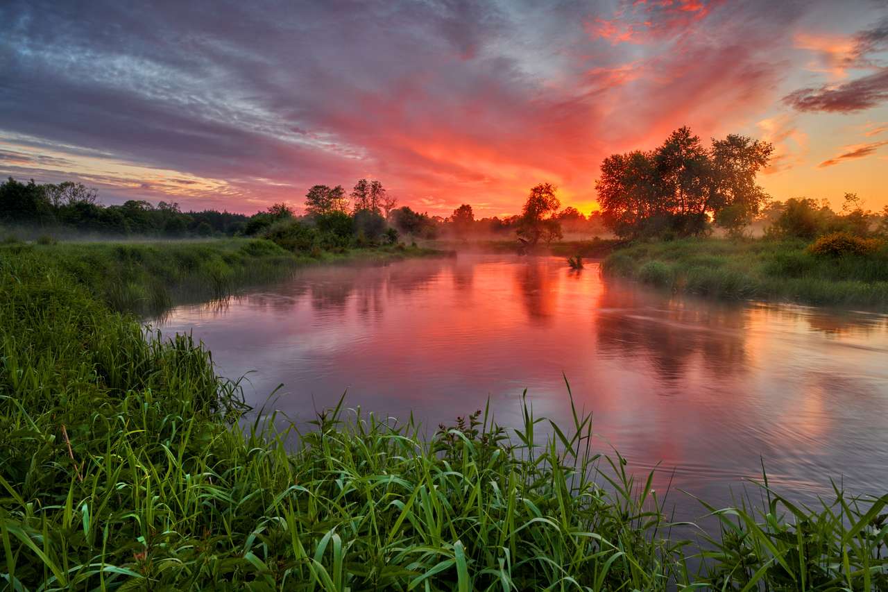 Vacker sommar soluppgång över flodbanker Pussel online