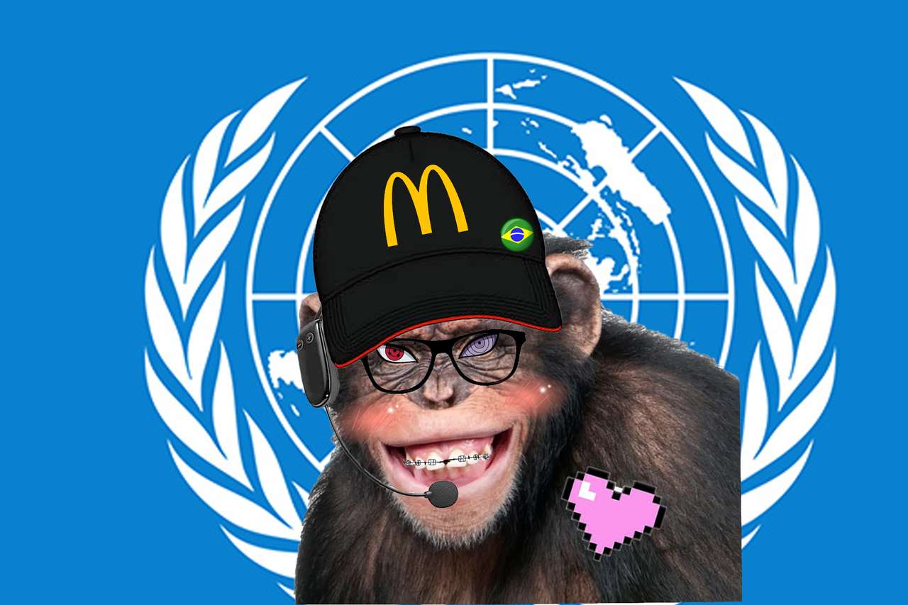 Mono de la Onu puzzle online a partir de foto