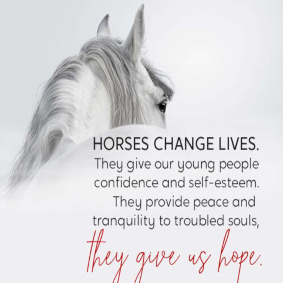 Horse Change Lives online puzzle