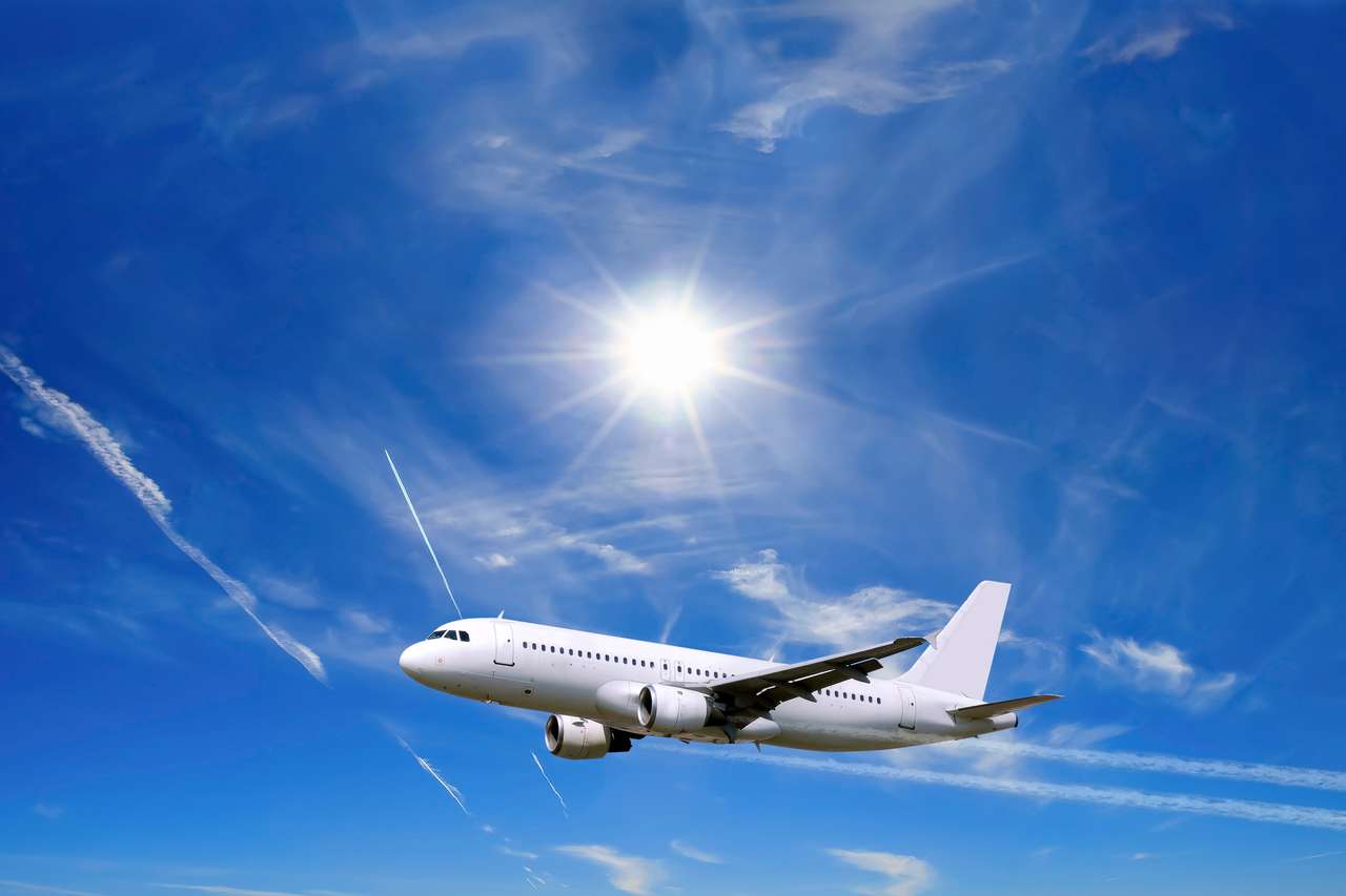 Airplane over blue sky puzzle online from photo