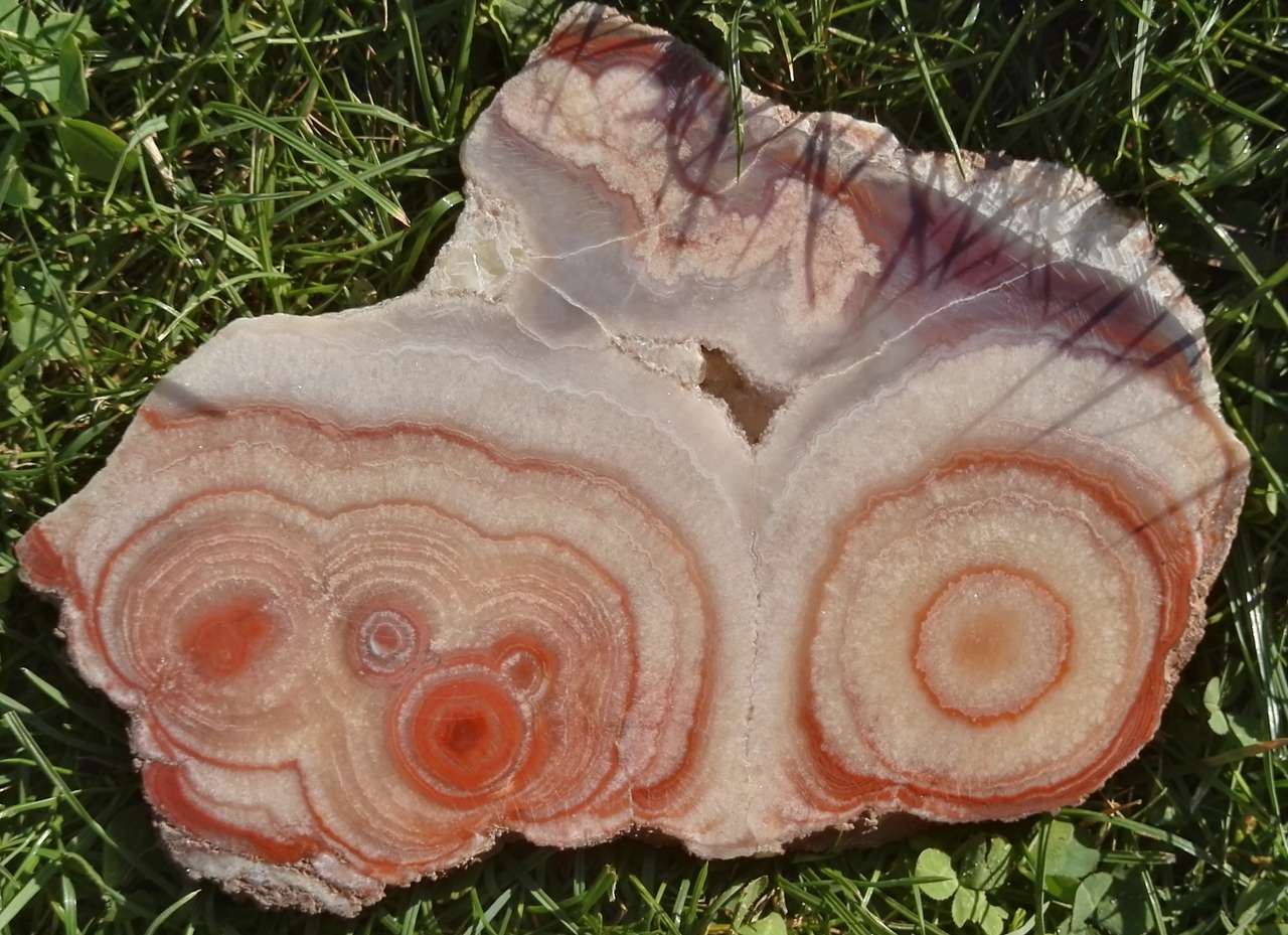 Agate - Dulcote, Somerset puzzle en ligne