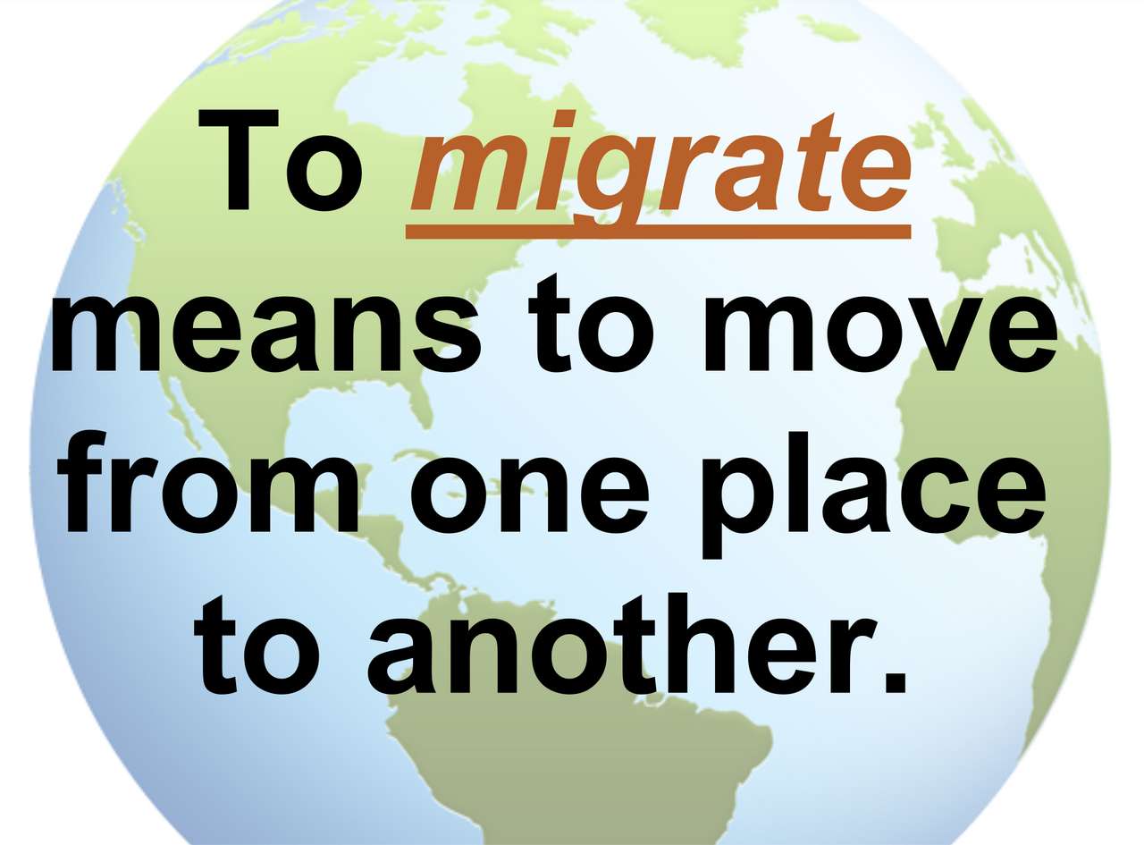 MIGRATION PUZZLE online puzzle