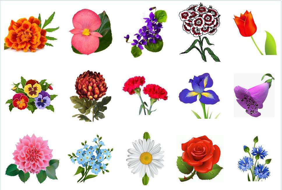 Summer flowers puzzle online from photo