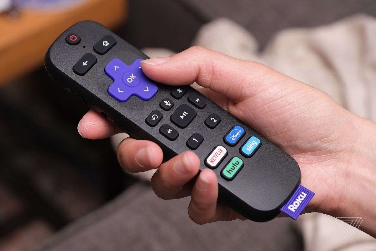 REMOTE FOR TELEVISION puzzle online from photo