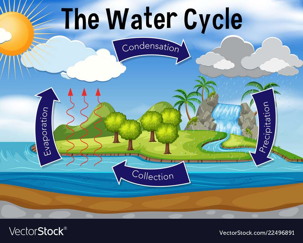 El ciclo del agua rompecabezas en línea