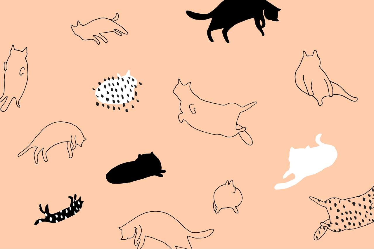 Das Katzen-Desktop-Wallpaper-Puzzle Online-Puzzle