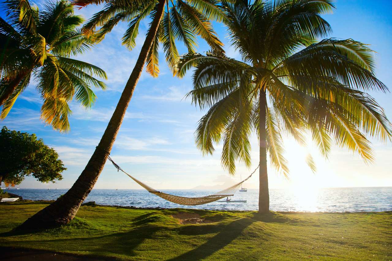 Silueta de hamaca con palmeras puzzle online a partir de foto