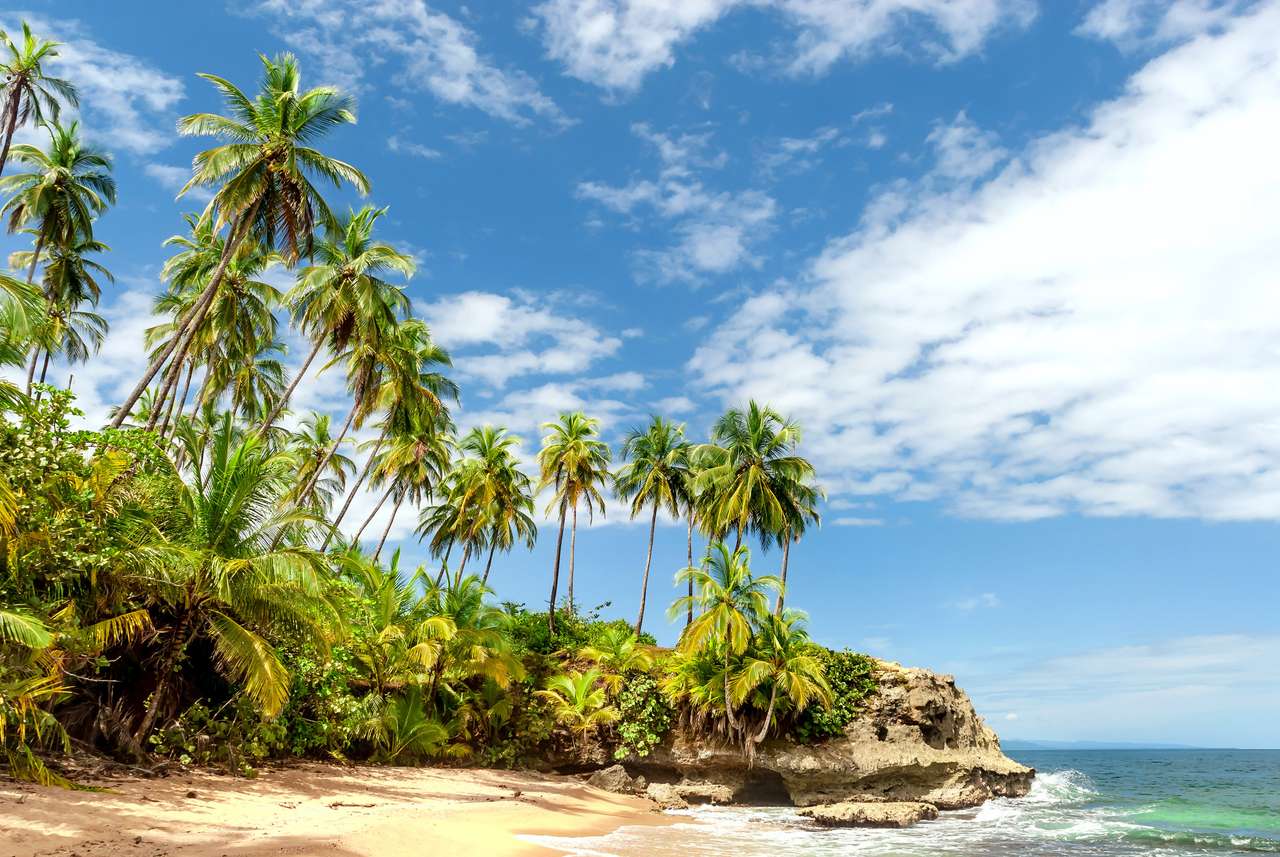 Тропически рай в Коста Рика, Мансанило онлайн пъзел от снимка