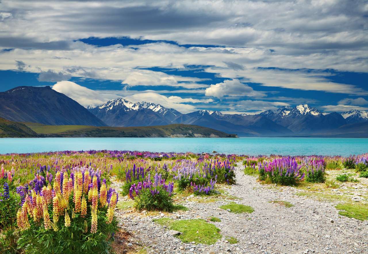 Λίμνη Tekapo, νότιες Άλπεις, Νέα Ζηλανδία παζλ online από φωτογραφία