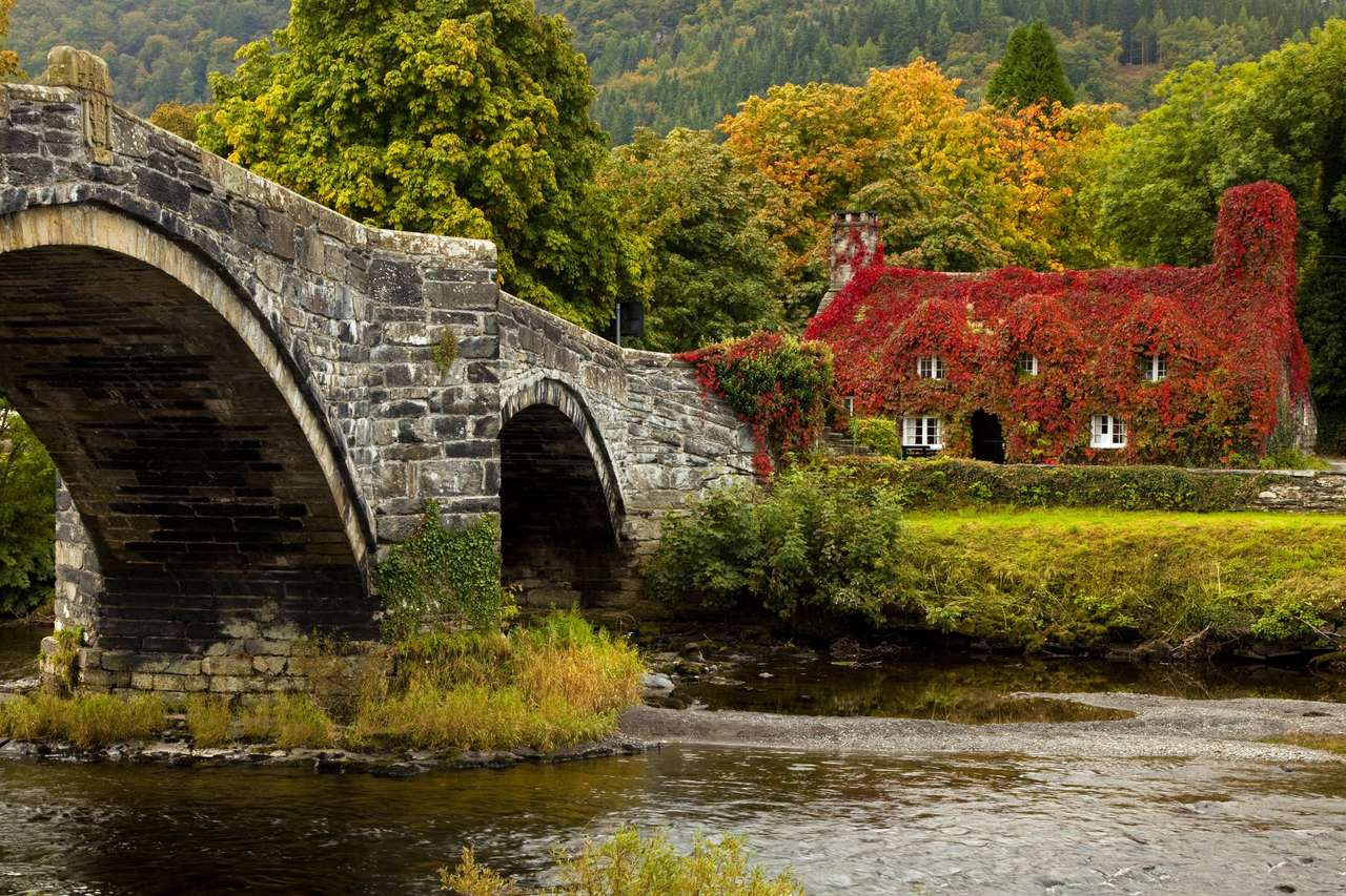 Llanrwst bridge and court house covered in red ivy online puzzle