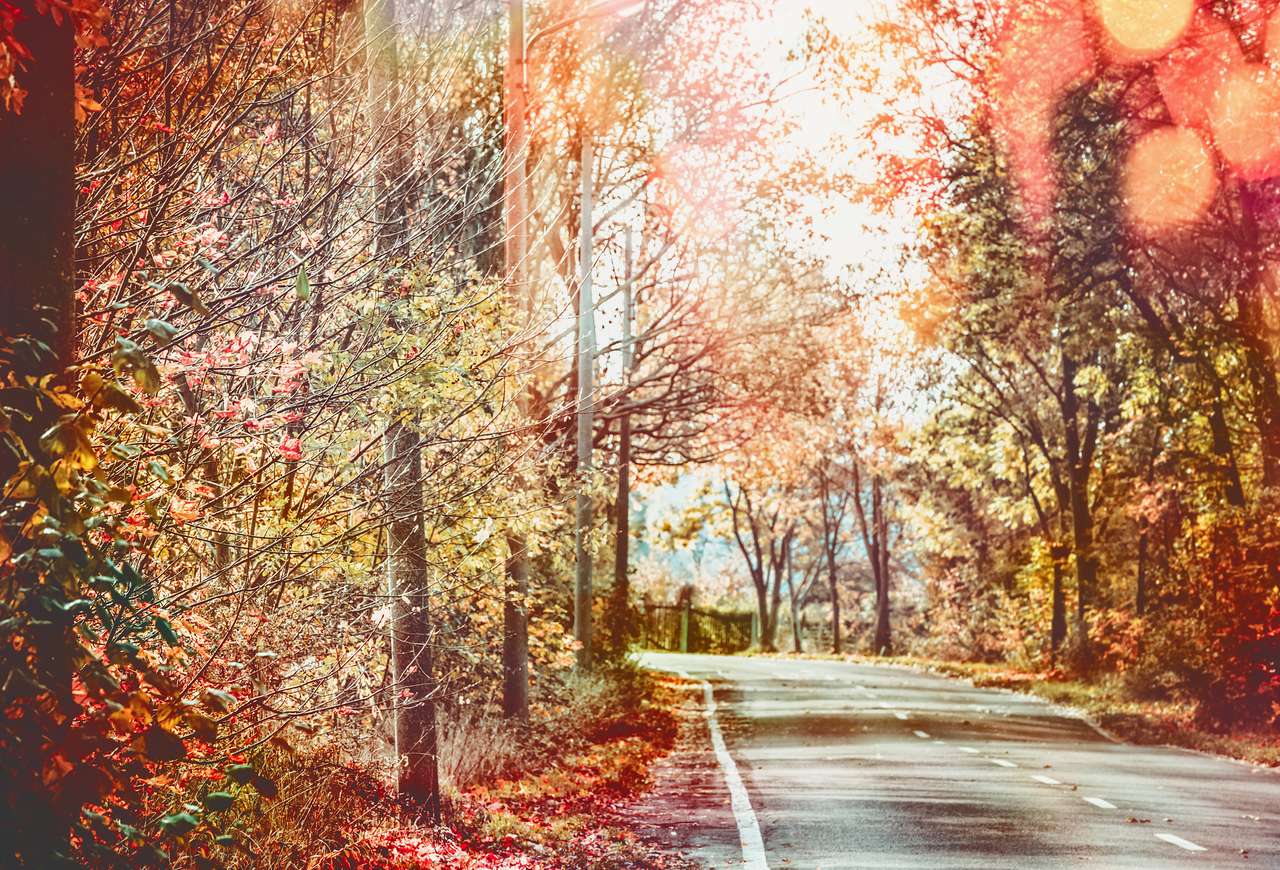 Beautiful autumn road online puzzle