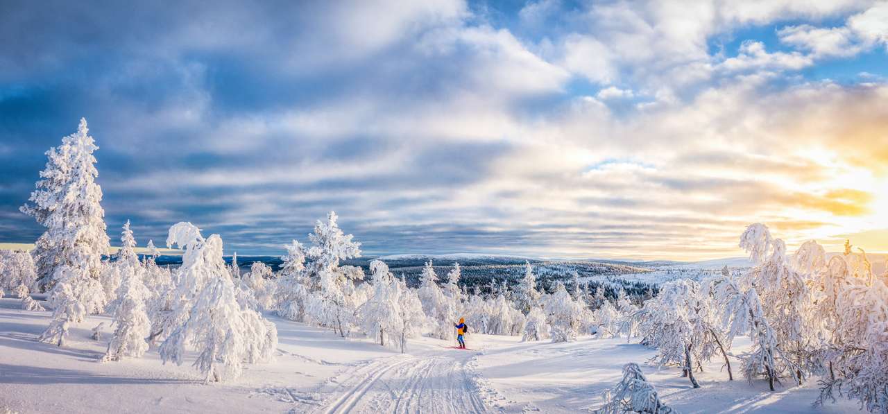 paisaje de invierno en escandinavia puzzle online a partir de foto