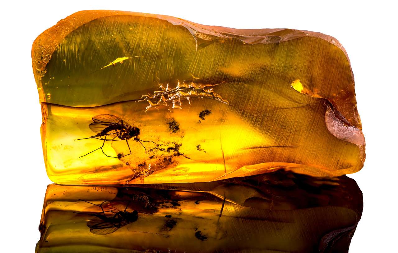 Amazing baltic amber puzzle online from photo