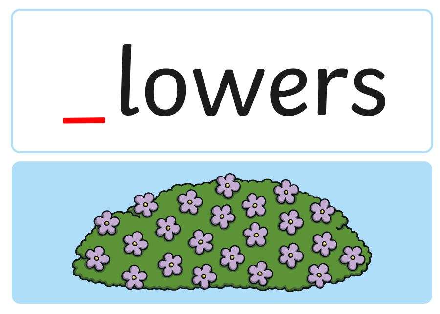 Flori pentru faza 2 puzzle online din fotografie
