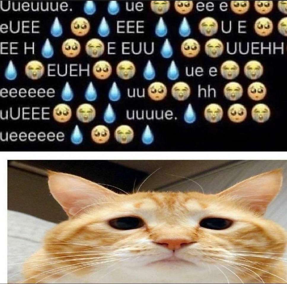 Cat meme Pussel online