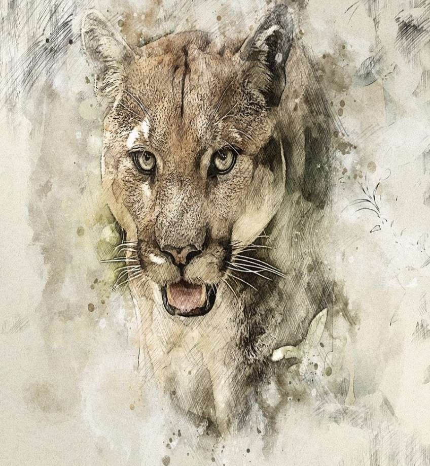 My Cougar Cover online puzzle