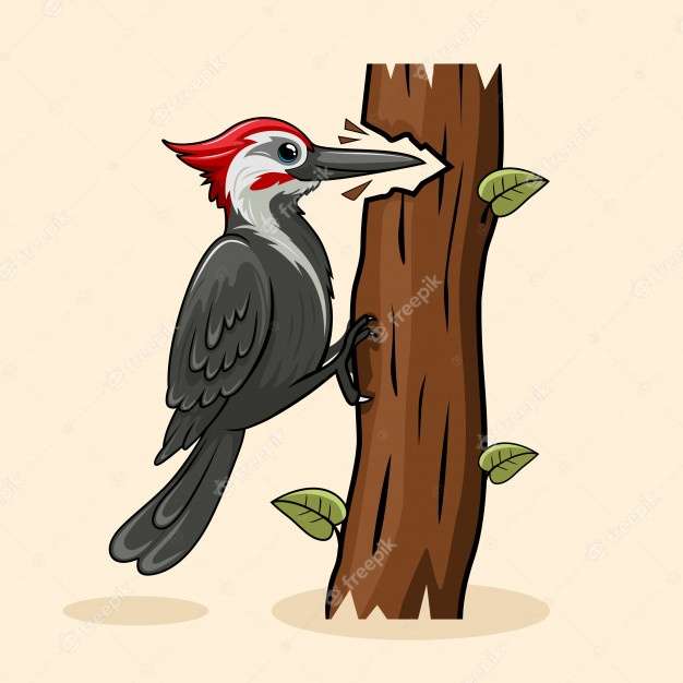 A woodpecker puzzle online from photo