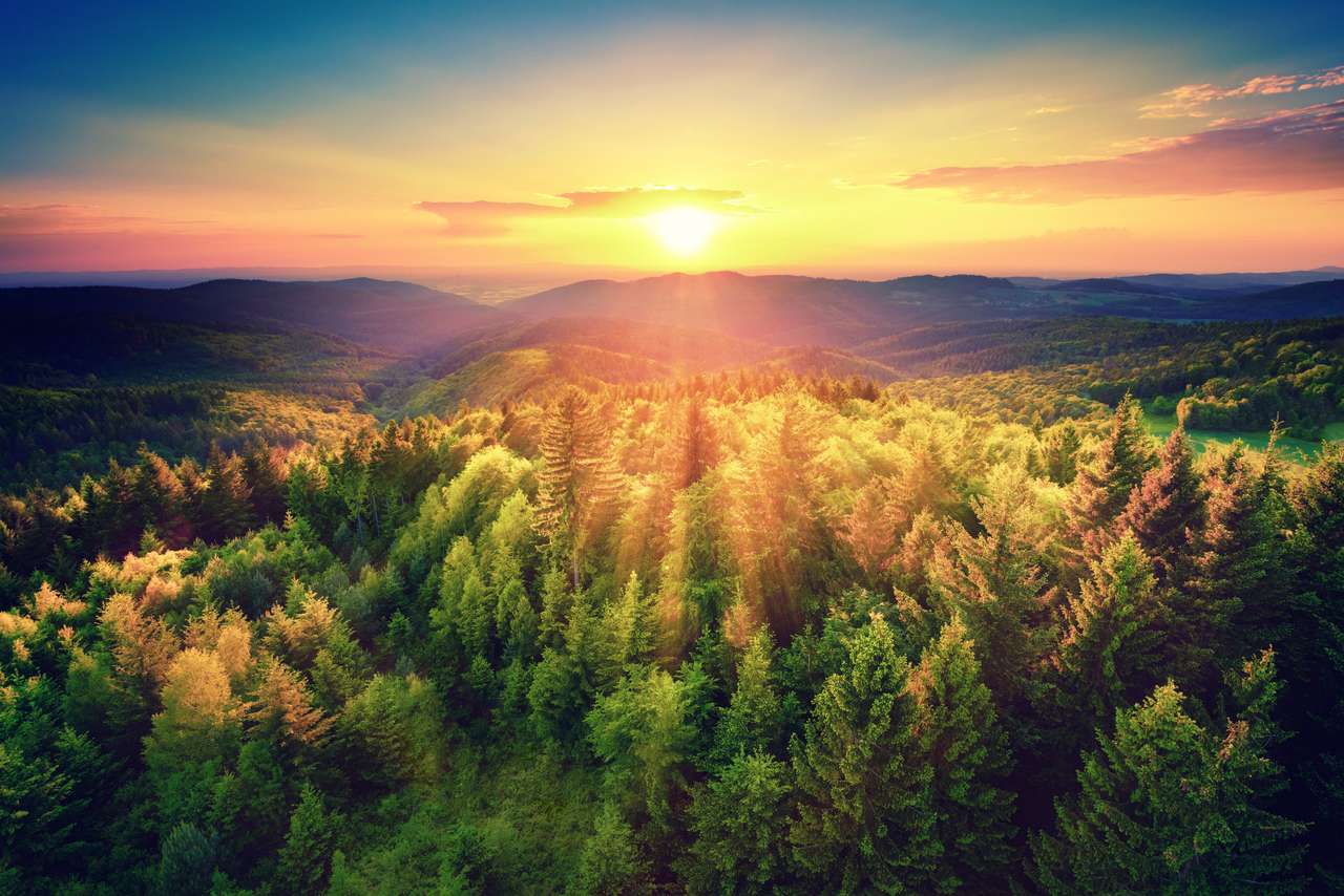 pôr do sol sobre as colinas da floresta puzzle online