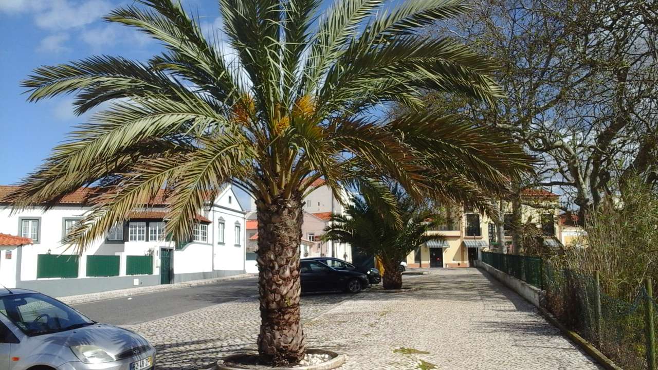 Фос до Арельо, Португалия онлайн пъзел