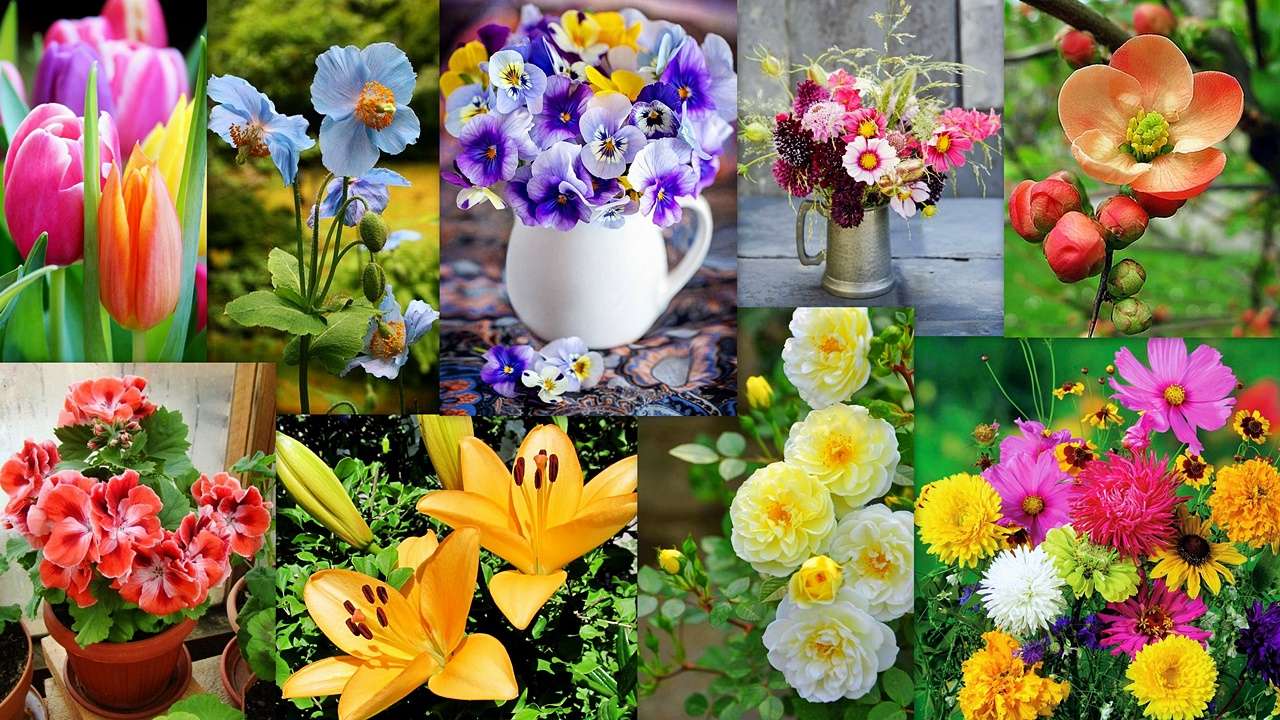 Mélange Floral puzzle en ligne