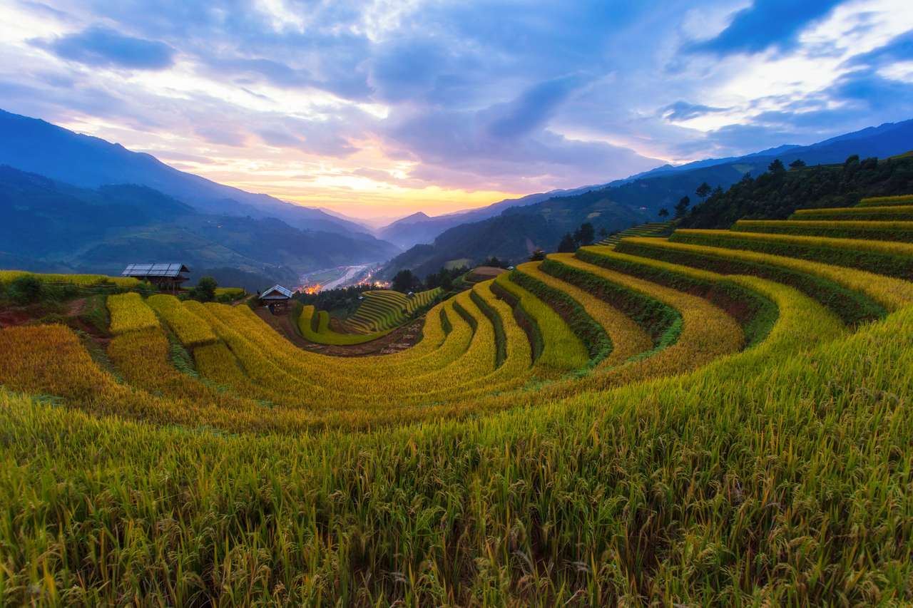 Пейзажът на оризово поле от Му Кан Чай онлайн пъзел от снимка
