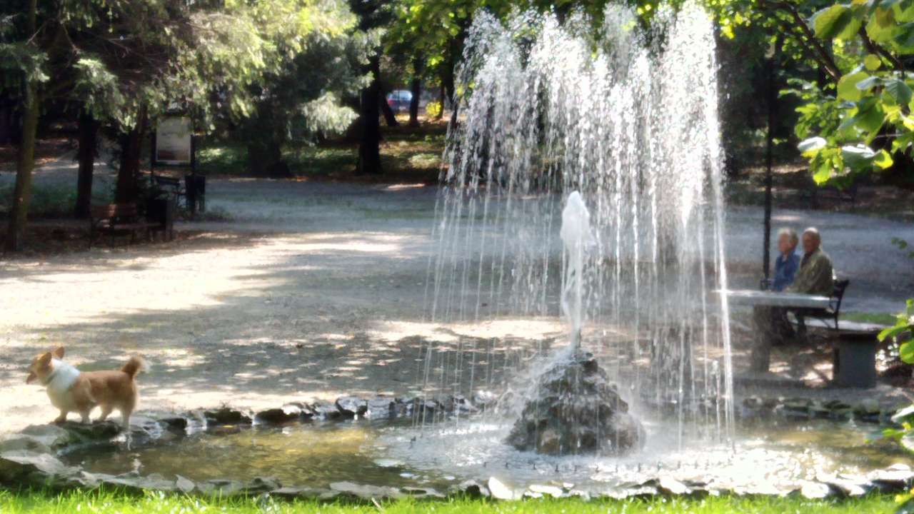 De fontein in het park online puzzel