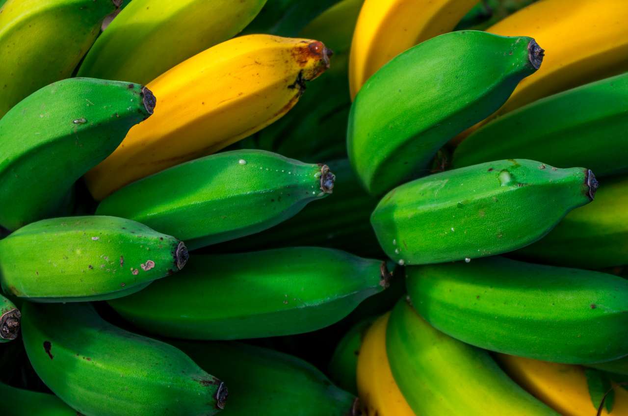 Plátano rompecabezas en línea