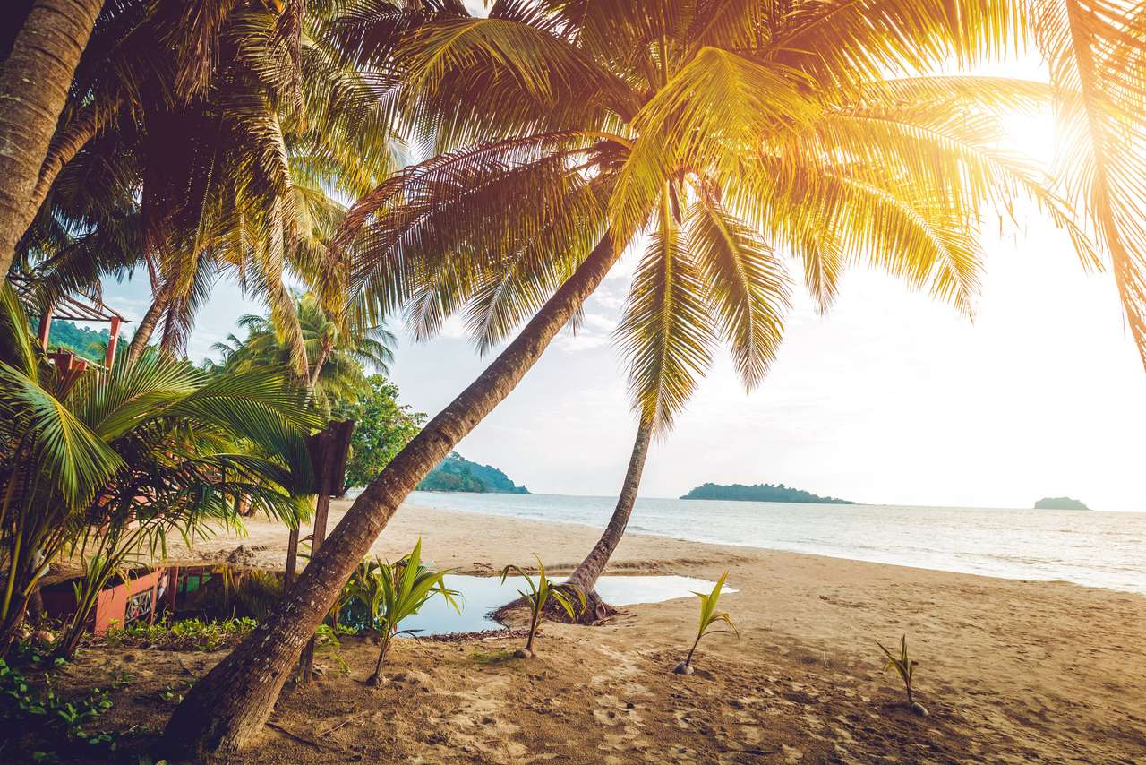 Beautiful tropical beach with palm trees. Daylight puzzle online from photo