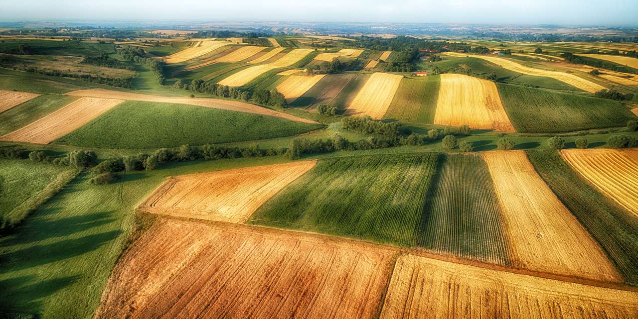 Vedere aeriană cu dronă - câmpuri dimineața puzzle online