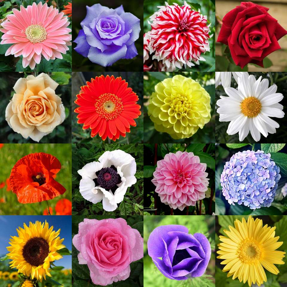 Barevné květiny online puzzle