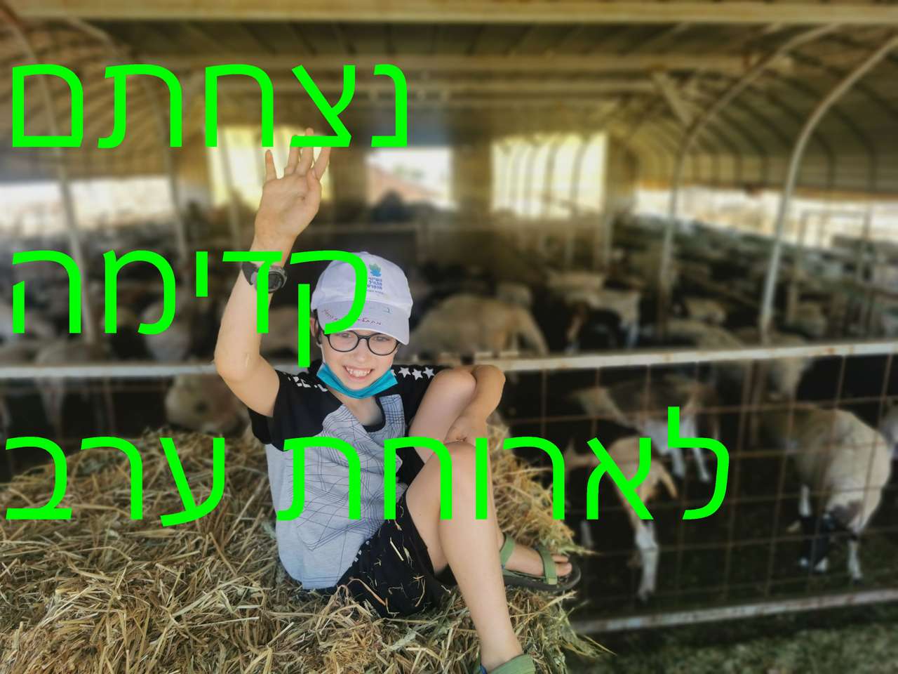 корови і хлопчик скласти пазл онлайн з фото
