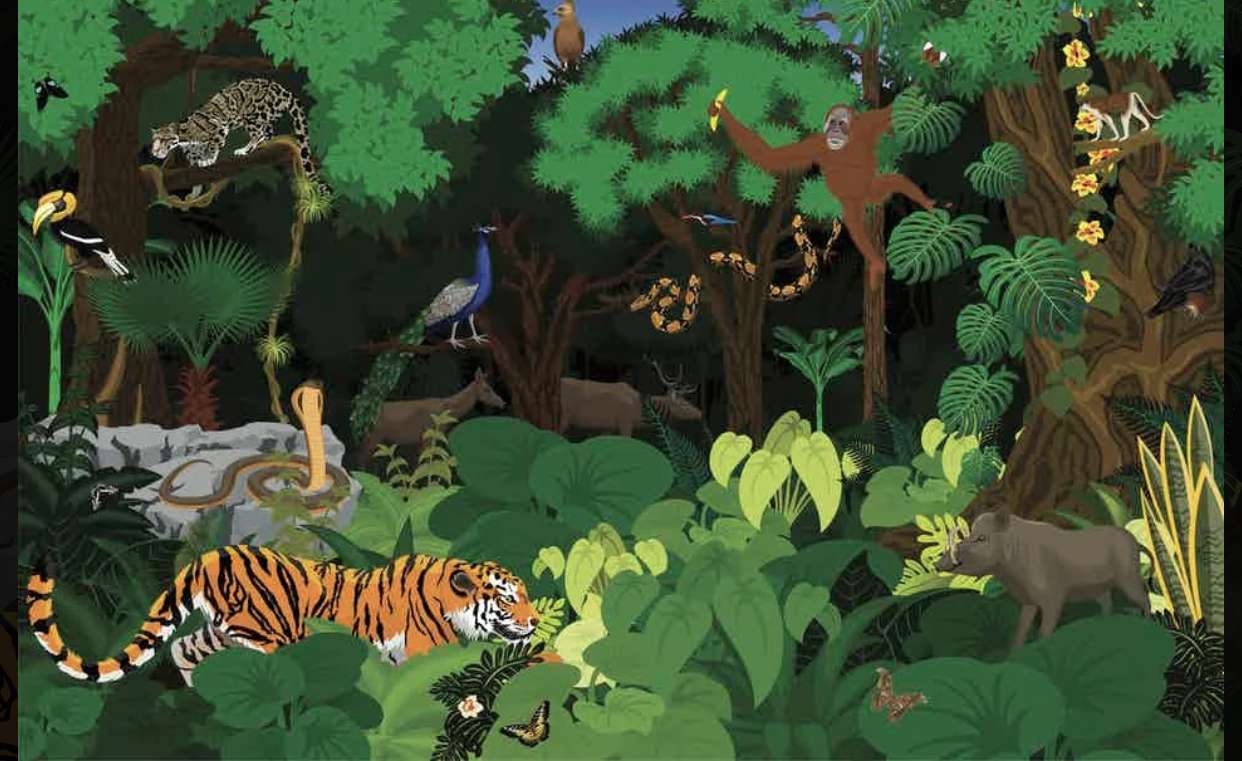 Puzzle cu pădure tropicală tropicală puzzle online din fotografie