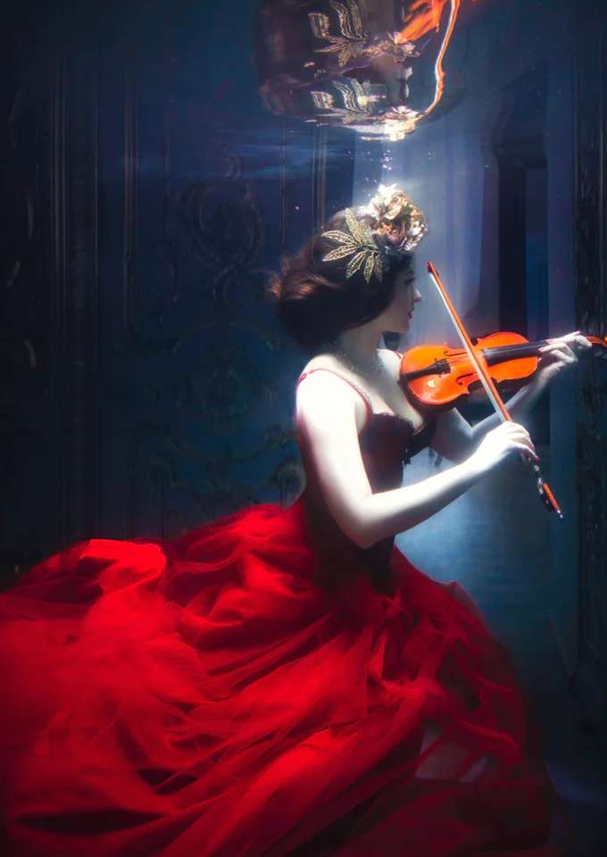 Person playing violin online puzzle