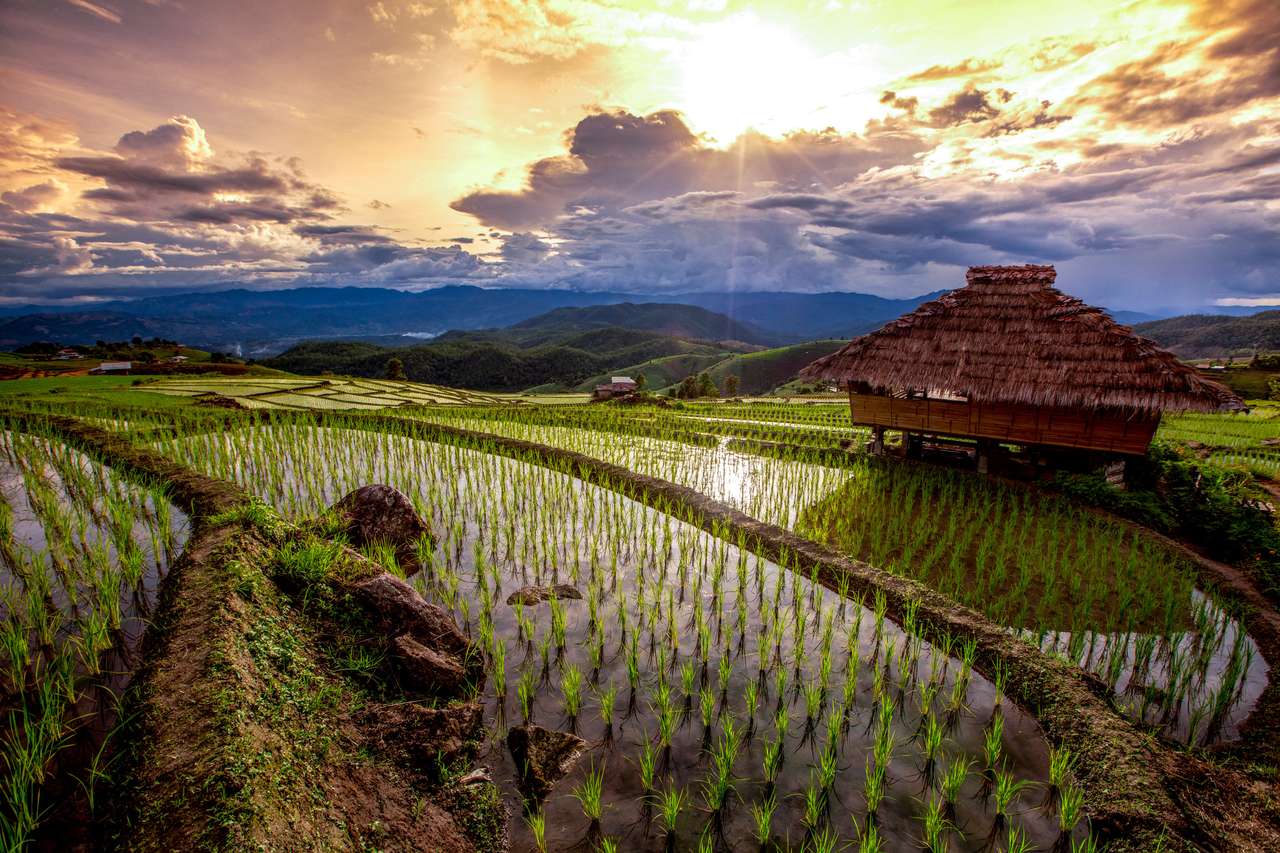 Оризови полета на терасирани от Pa bong Pieng, Mae Chaem, Чианг Май, Тайланд онлайн пъзел