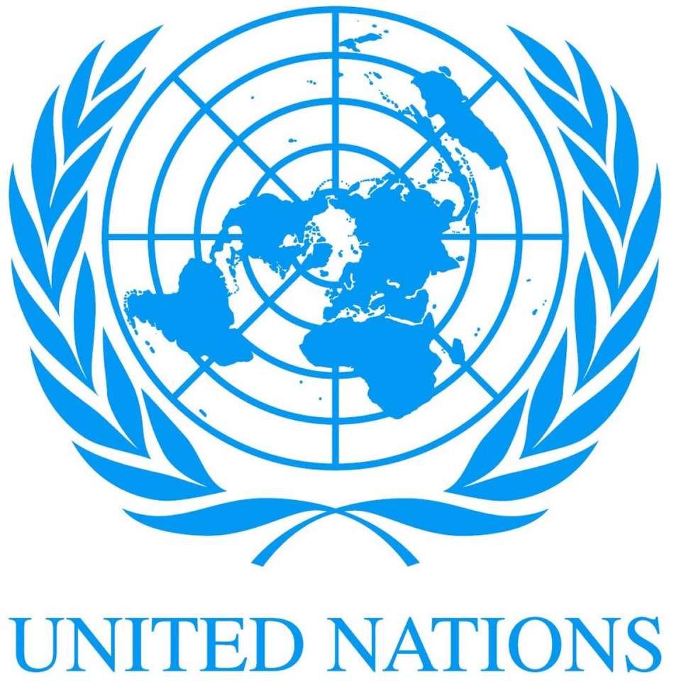 Загадка Организации Объединенных Наций онлайн-пазл