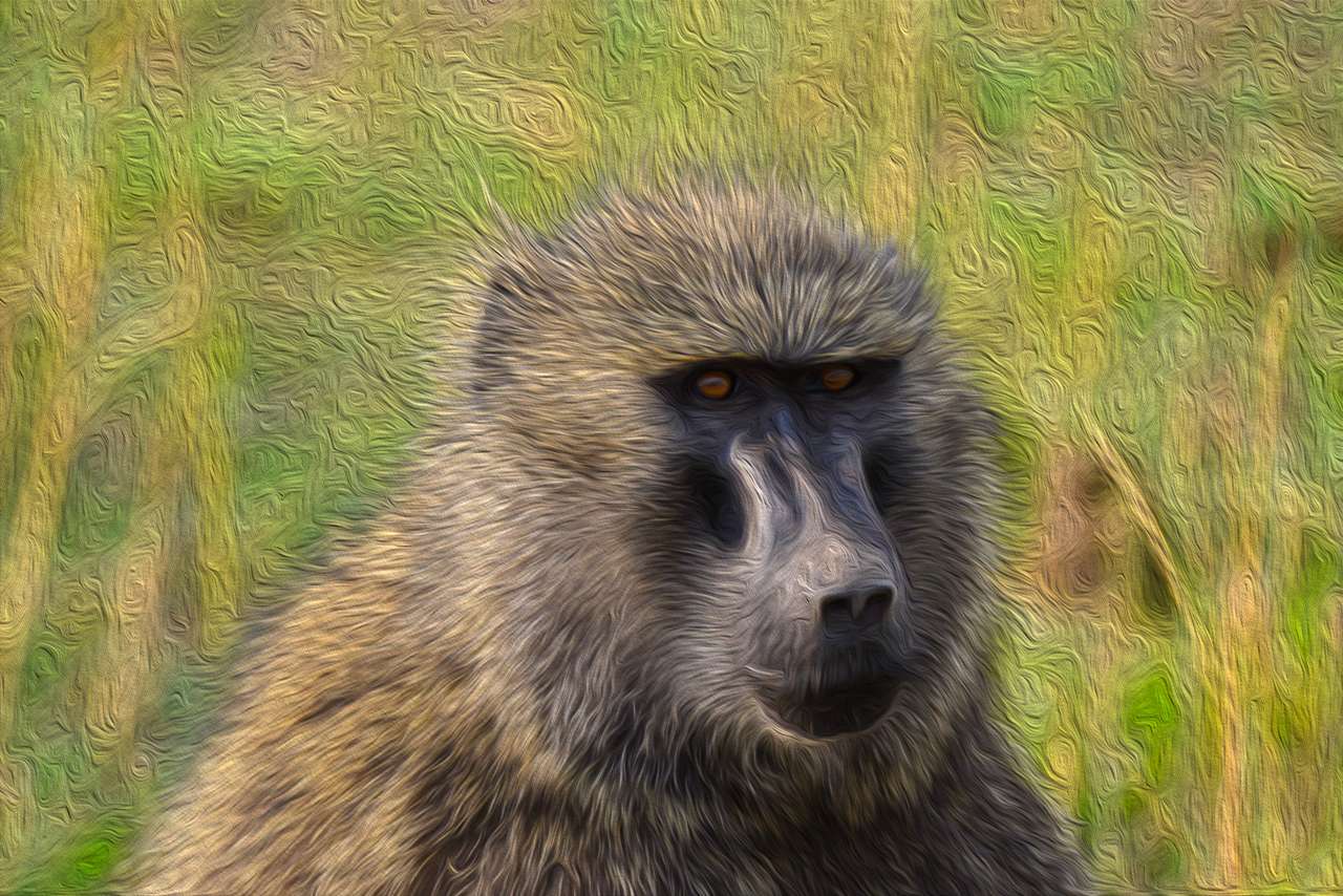 NFTPuzzle-Baboon puzzle online from photo