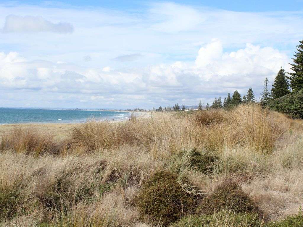 Mt Maunganui puzzle online from photo