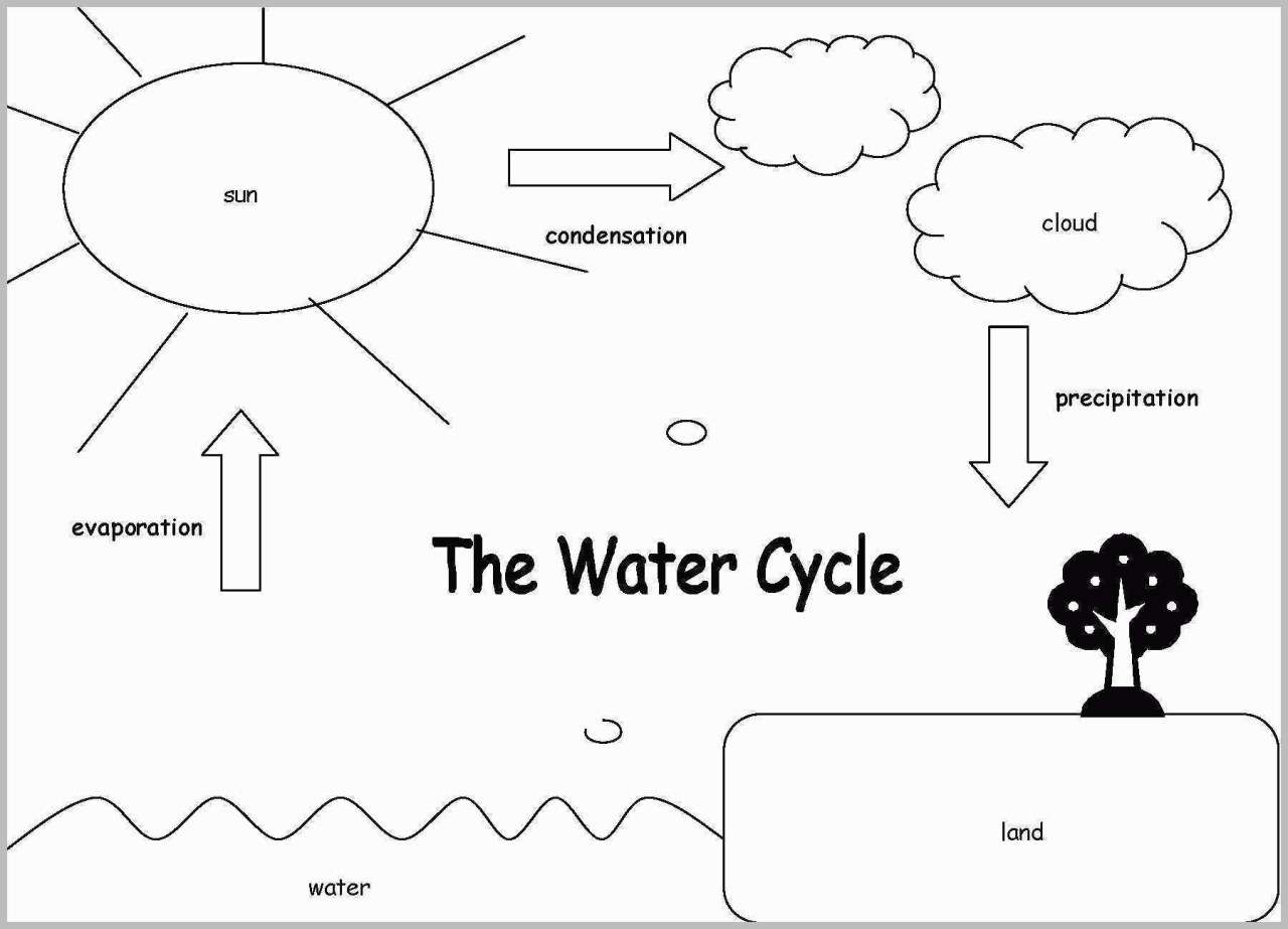 Puzzle del ciclo dell'acqua Kinder-1st Grade puzzle online